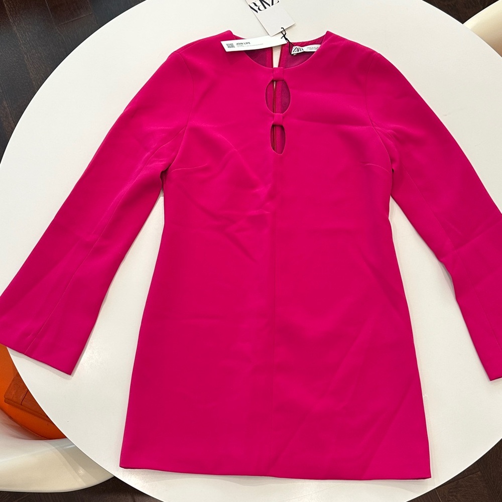 Zara Pink Long Sleeve Dress